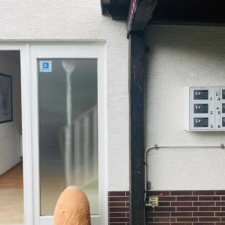 Platzhirsch Vogelsberg Hotel *