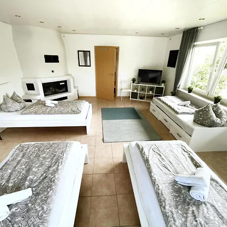 Hotel Platzhirsch Vogelsberg