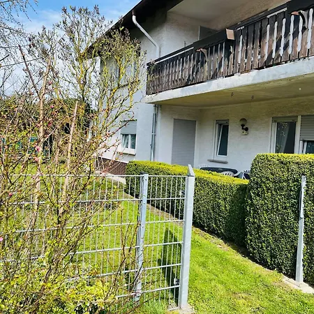 Platzhirsch Vogelsberg * Mücke